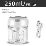 GadgetChefs™ Electric Garlic Mincer & Vegetable Chopper – 250ML USB Food Processor