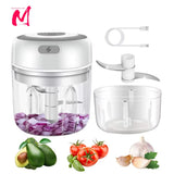 GadgetChefs™ Electric Garlic Mincer & Vegetable Chopper – 250ML USB Food Processor